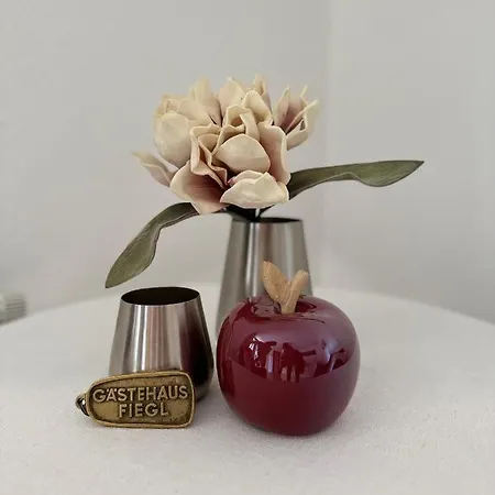 招待所 Mein Fiegl 厄茨